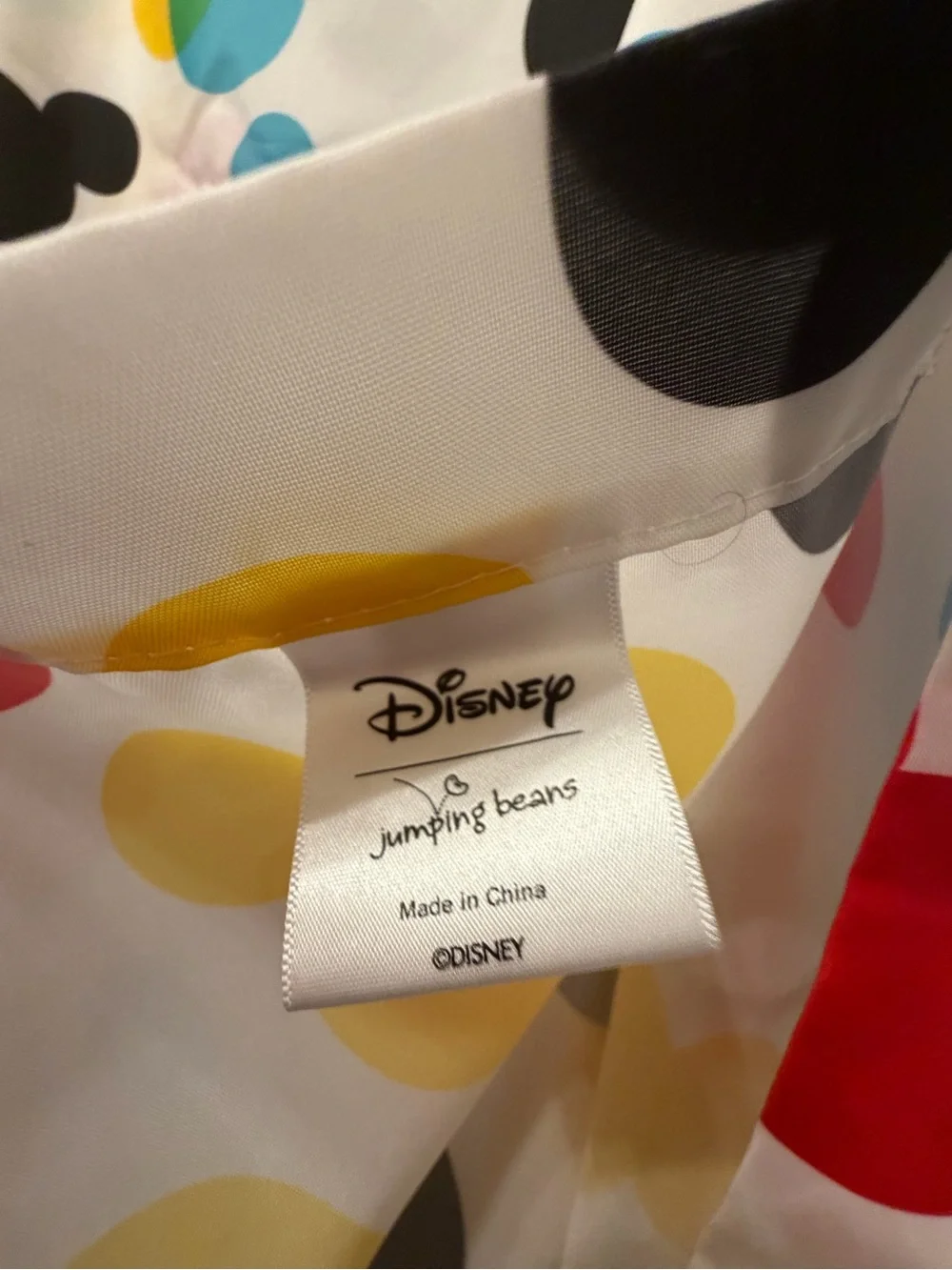 Disney fun mickey